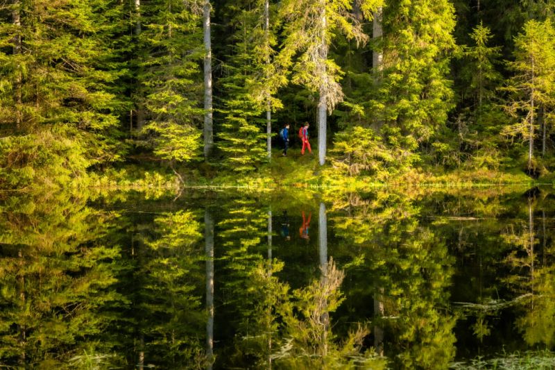 Kaltenbachsee, Seewald