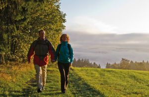 WaldSkulpturenWeg