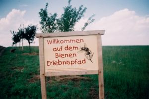 Bienen-Erlebnispfad