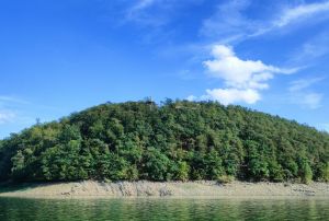 Baumkronenweg am Edersee