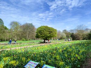 Botanischer Garten