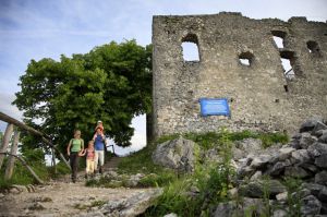 Burgruine Falkenstein