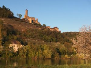 Neckar-Odenwald-Kreis