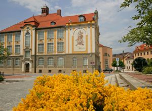 Stadtmuseum