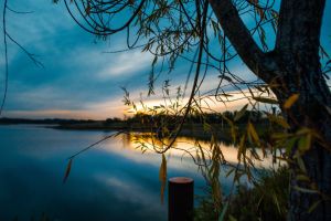 Diersfordter Waldsee