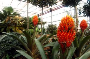 Erlebnispark Emsflower