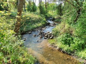 Fluss Rhünda
