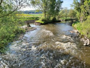 Fluss Schwalm
