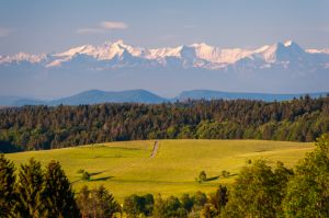 Waldshut