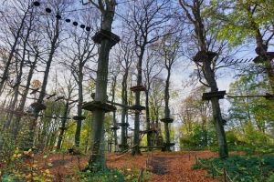 Kletterpark am Hermannsdenkmal