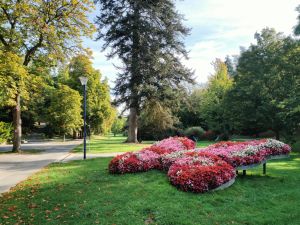 Kurpark