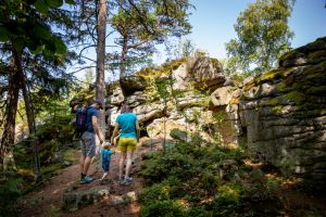 Waldhistorischer Lehrpfad Naturpark Steinwald