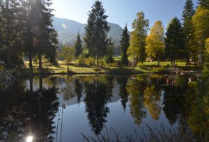 Natur-Hochmoorbad Oberjoch