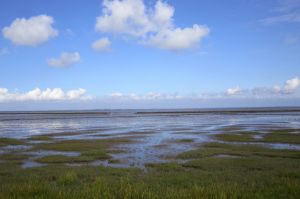 Wattenmeer