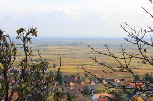 Deutsche Weinstraße