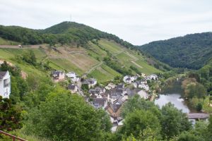 Weinberge