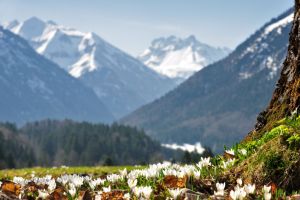 Oberstdorf