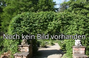 Klosterpark Reinhardsbrunn