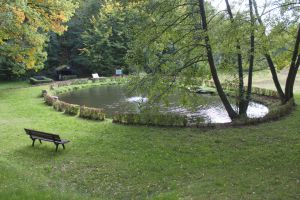 Parkanlage mit Tretbecken und Wildblumenwiese