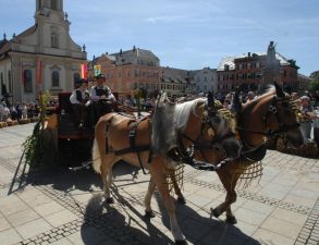 Ludwigsburger Pferdemarkt