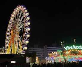 Hamburger DOM