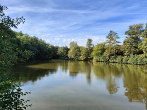 Sonderteich