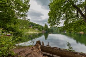 Wiesenbeker Teich