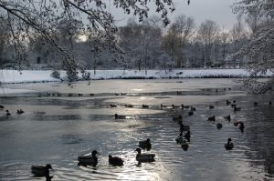 Revierpark Gysenberg