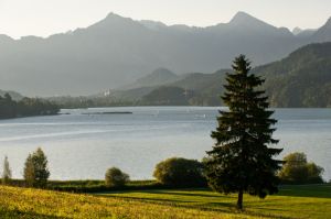 Weissensee