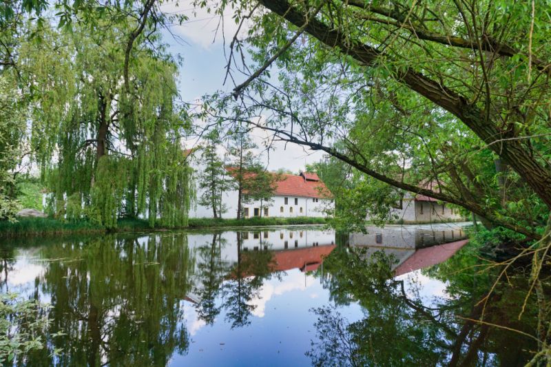 Teich Alte Wassermühle