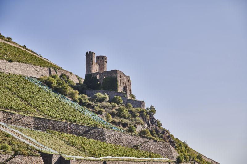 Burg Ehrenfels, Rüdesheim