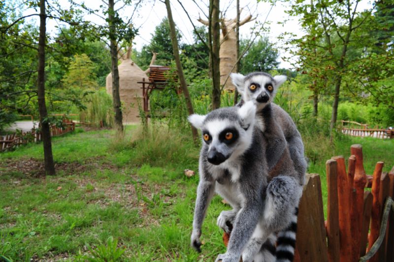 Vogelpark, Marlow