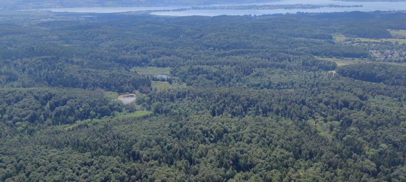 Naturschutzgebiet Dingelsdorfer Ried, Konstanz