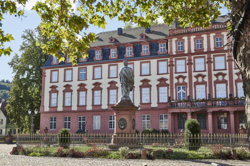 Schloss, Erbach