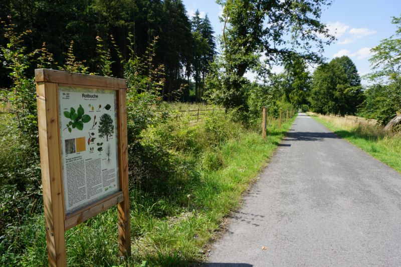 Waldlehrpfad Bibertal Rüthen