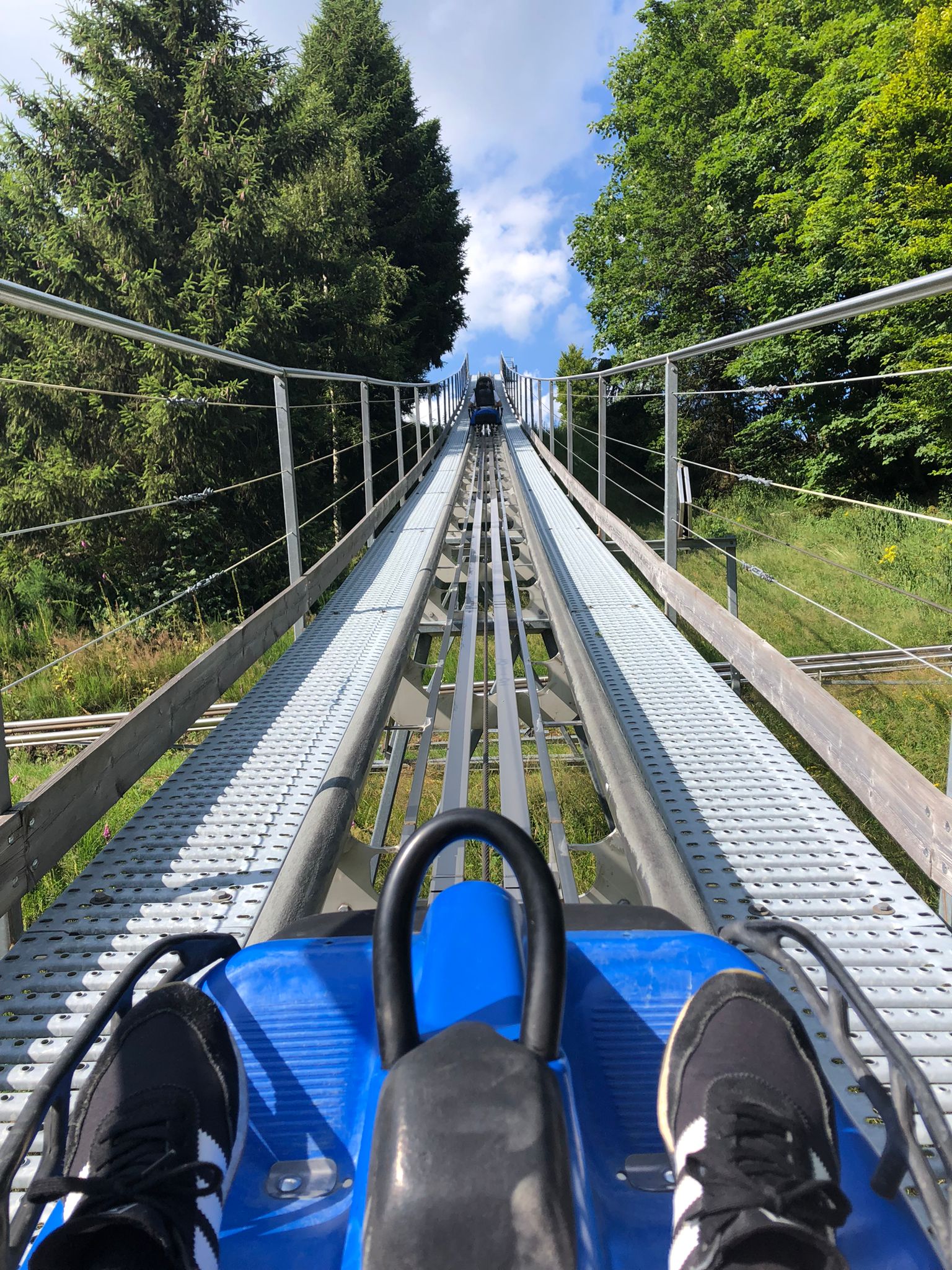 Fahrt Alpin Coaster