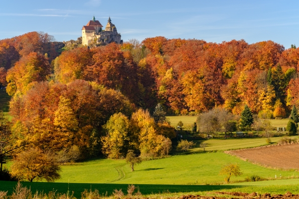 Zwischen Wald und Fels, Tal und Burg: